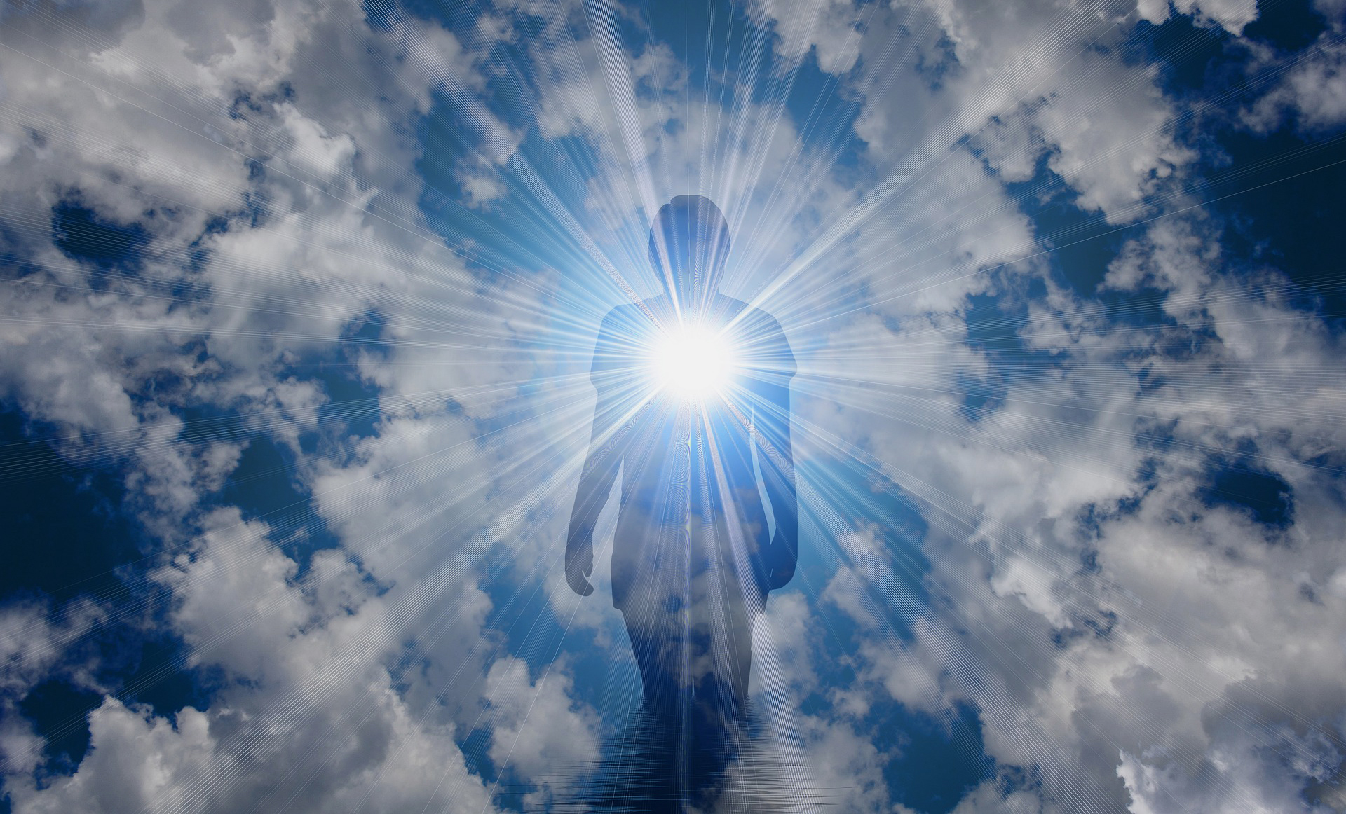 Cozy living room interior in modern apartment