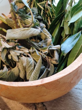 54710c9b-4299-4d9f-be89-dc53faed927b