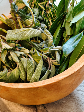 ad54feee-8d71-4cd7-99e0-7e30d7c4bdd1