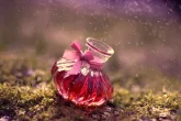 12835_love-potion_p